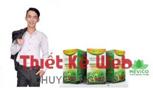 Châu Trần Phước , Công ty cổ phần Mevico, website, website cá nhân, website giới thiệu doanh nghiệp
