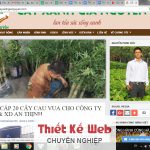 THIẾT KẾ WEBSITE CHO CÔNG TY CÂY XANH GIA NGUYỄN