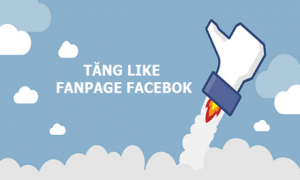 Tăng like facebook, Tăng like, Trang fanpage, xóa trang Fanpage, Trịnh Đình Tý, chạy quảng cáo, chạy like app, thủ thuật tăng like